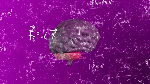 Purple Plexus Brain Formula Video stock 154792226