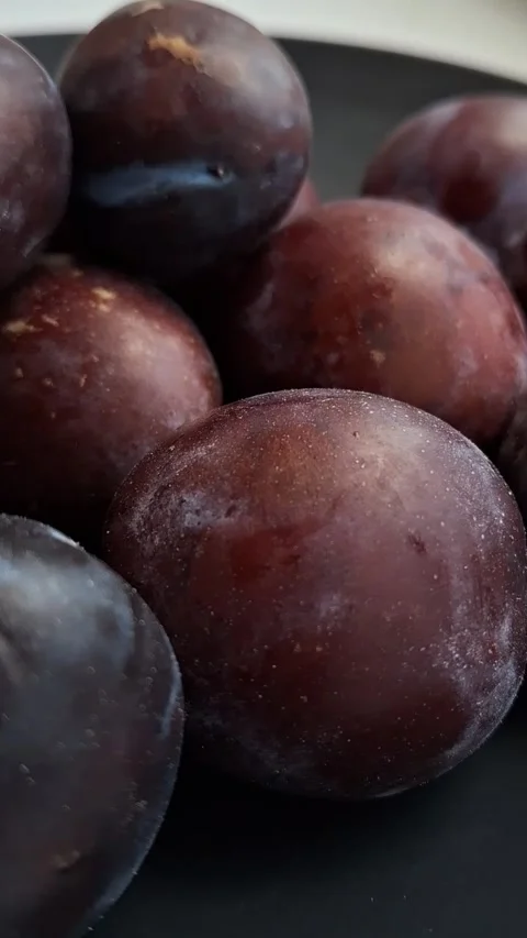 Purple plums Stock Footage 341424053