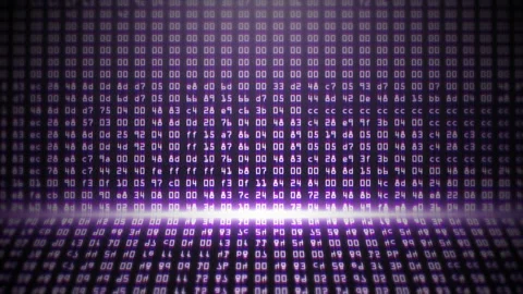 Purple Programming HEX Code Video stock 101119690