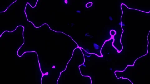 Purple Psychedelic Neon Lines Background VJ Loop in 4K Stock Footage 316899661