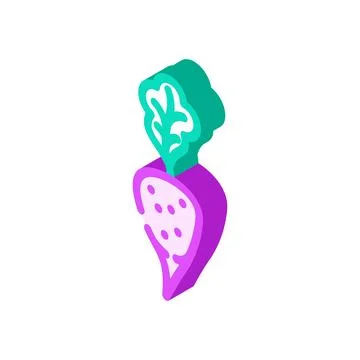 Purple radish isometric icon vector illustration Illustrazione stock