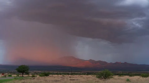 Purple Rain Stock Footage 219716167