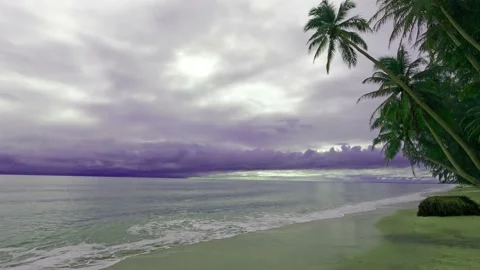 Purple rain storm cloud on tropical beach with palm tree leaf Stock Footage 166338081