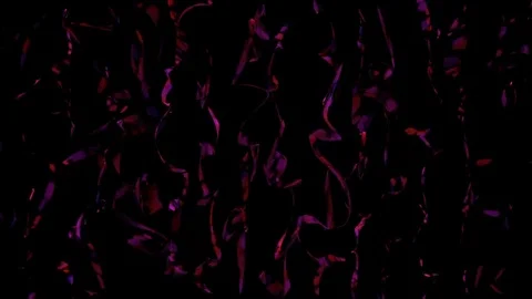 Purple ribbons falling down Stock Footage 80037368