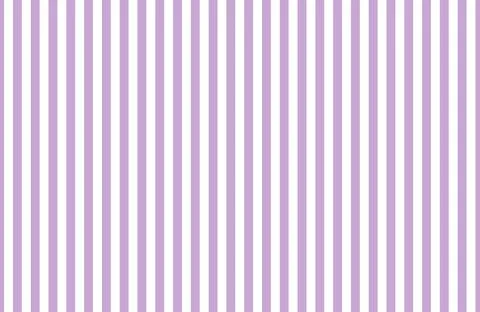 Purple rose color background Illustrazione stock