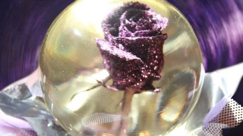 Purple rose in a globe Stock Photos