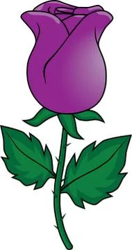 Purple rose Stock Illustration
