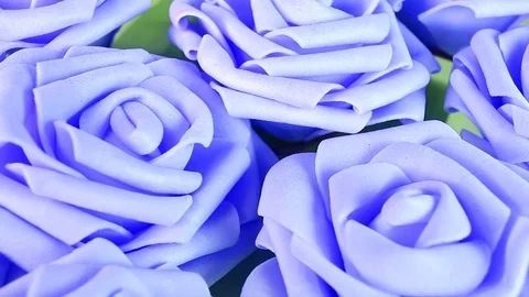 Purple roses rose texture pattern Stock Footage 97653400