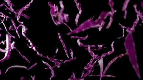 Purple Sabbage Falling Video stock 232369321