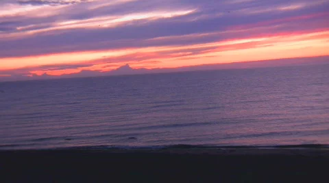 PURPLE SEA Stock Footage 580413