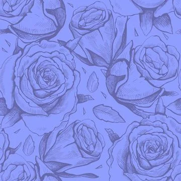 Purple seamless vector pattern of hand drawn roses. Stock Illustration