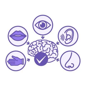 Purple Sensory Friendly Icon. Vector Illustration. Adapted for People with .. Stock Illustration