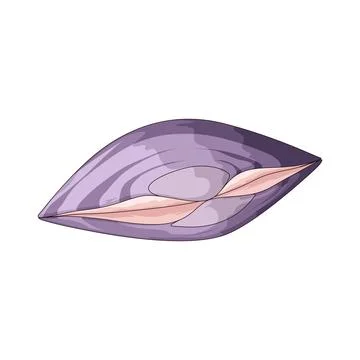 Purple shell illustration Stock Illustration