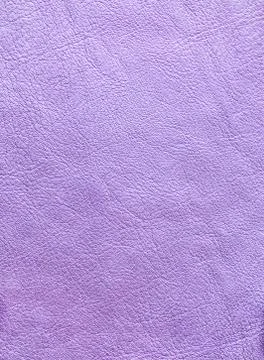 Purple skin texture. Stock Photos