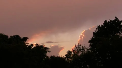 Purple Sky and Clouds above trees Stock Footage 8679488