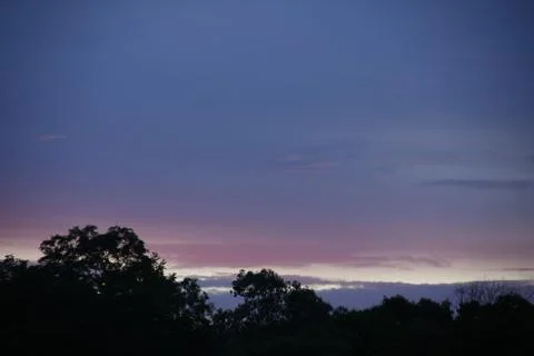Purple sky with tree top Stock Photos