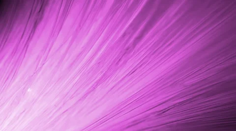 Purple soft background Stock Footage 35575887