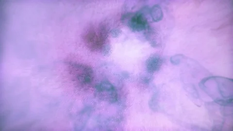 Purple soft ink Stock Footage 75395765