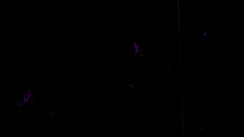 Purple sparks float against a black background. Video stock 292686820
