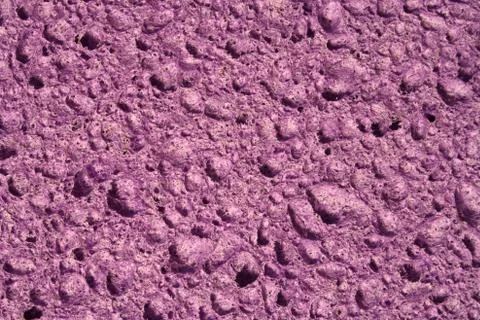 Purple sponge Stock Photos