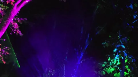 Purple spotlights and light rays in night forest. Stock Footage 341332507