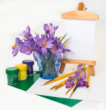 Purple spring crocus flowers. Stock Photos