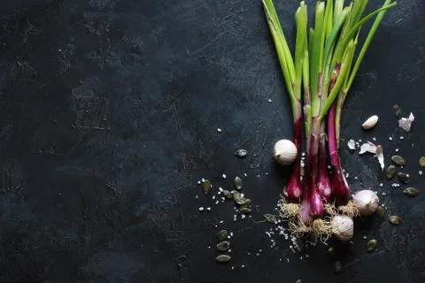 Purple spring onions on dark table background 写真素材