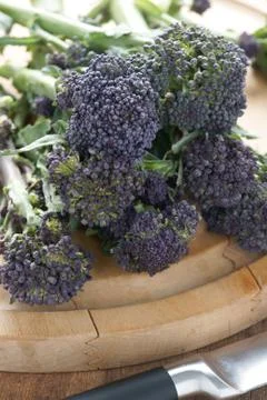 Purple sprouting broccoli Stock Photos