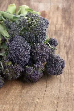 Purple sprouting broccoli Stock Photos