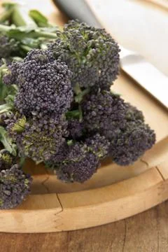 Purple sprouting broccoli Stock Photos