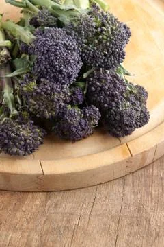 Purple sprouting broccoli Stock Photos