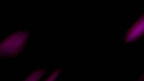 Purple Strokes 01 Stock Footage 150272181