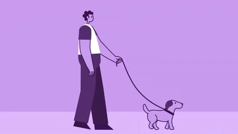 Purple Style Man Flat Character Walking with Pet Dog. Isolated Loop Animation 스톡 동영상 201278501