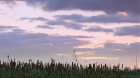 Purple sunset Stock Footage 48870263