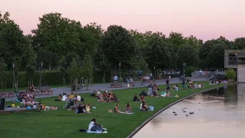Purple sunset at Griftpark in Utrecht, The Netherlands Stock Footage