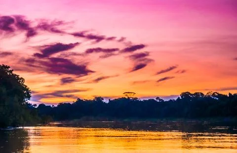 Purple sunset over Amazon river in the rainforest of Brazil Stock Photos