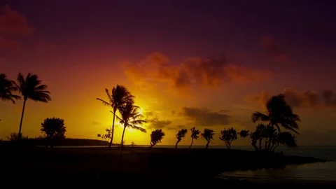 Purple Sunset over a Golf Course Green Stock Footage 75170279