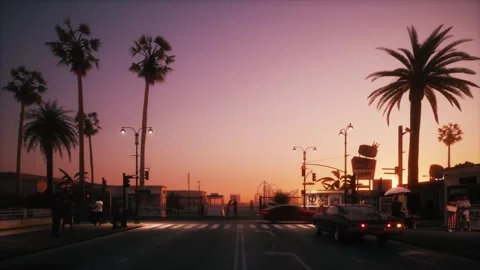 Purple sunset with palm trees. Evening beach in California Stock Footage 336331284