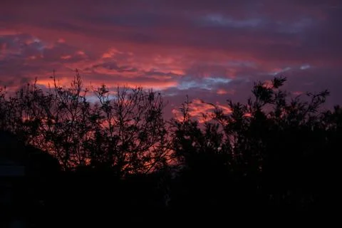 Purple Sunset Stock Photos