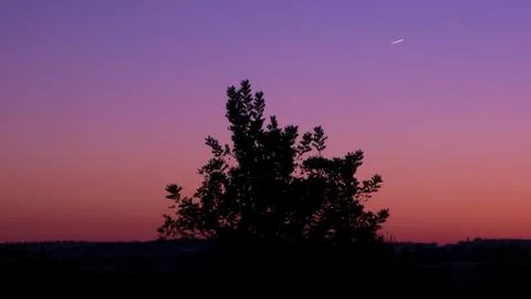 Purple Sunset Stock Photos