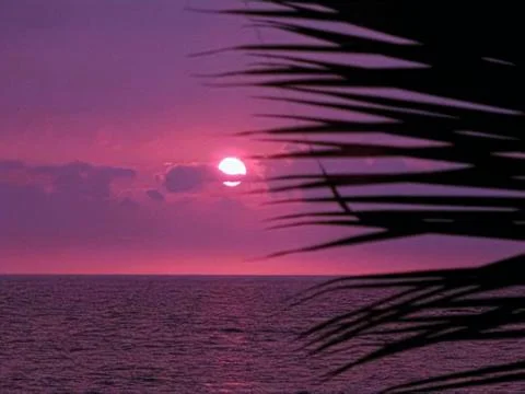Purple sunset Stock Photos