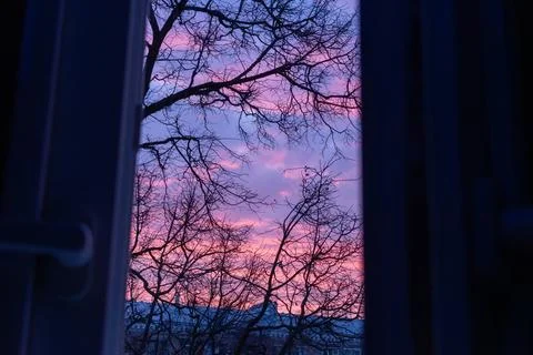 Purple sunset sky with bare tree branches seen through an open window frame Stock Photos
