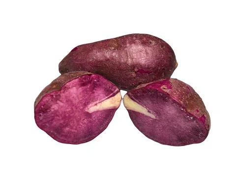 Purple sweet potato on a white background Stock Photos