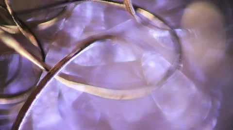 Purple Tangle 動画素材 22332947