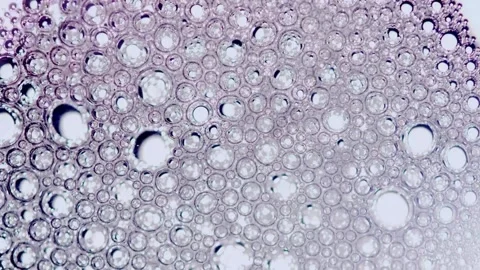 Purple tinted bubbles float and move across white surface Stock Footage 329816173