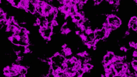 Purple Toxic Liquid Background Видео 209131185