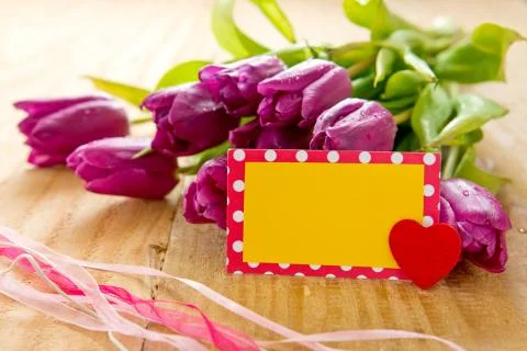 Purple tulip bouquet and blank greeting card. Stock Photos