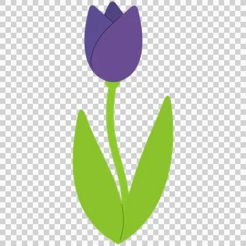 Purple tulip flower Ilustración de archivo