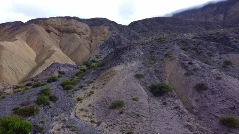 Purple valley Video stock 245452455