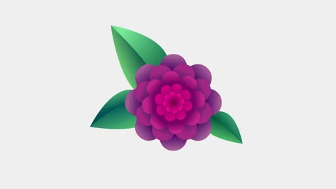 Purple vector flower blossoms, leaves appear. Alpha channel 스톡 동영상 88460122